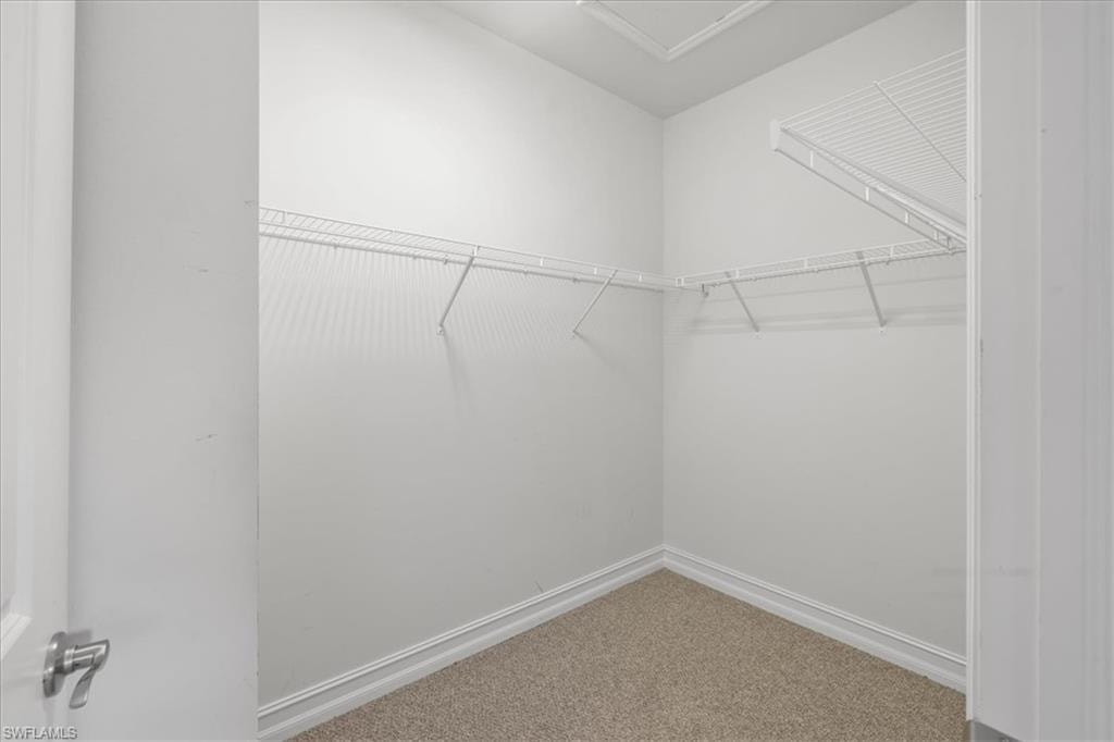 Spacious closet with carpet floors