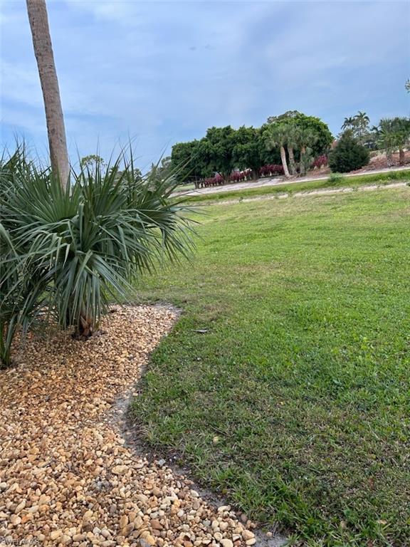 VIEW FROM THE LANAI AREA