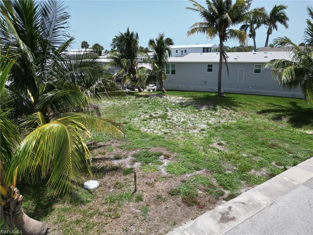 Six lovely palm trees