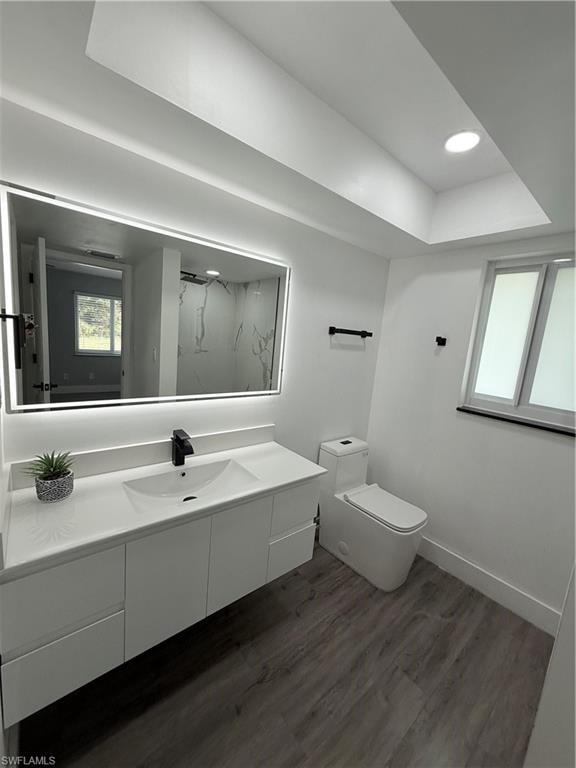 Bathroom featuring vanity, wood finished floors, a tray ceiling, and a shower