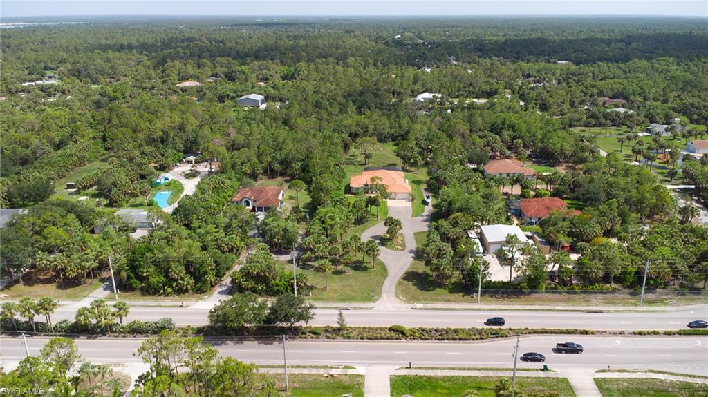 Bird's eye view of a forest