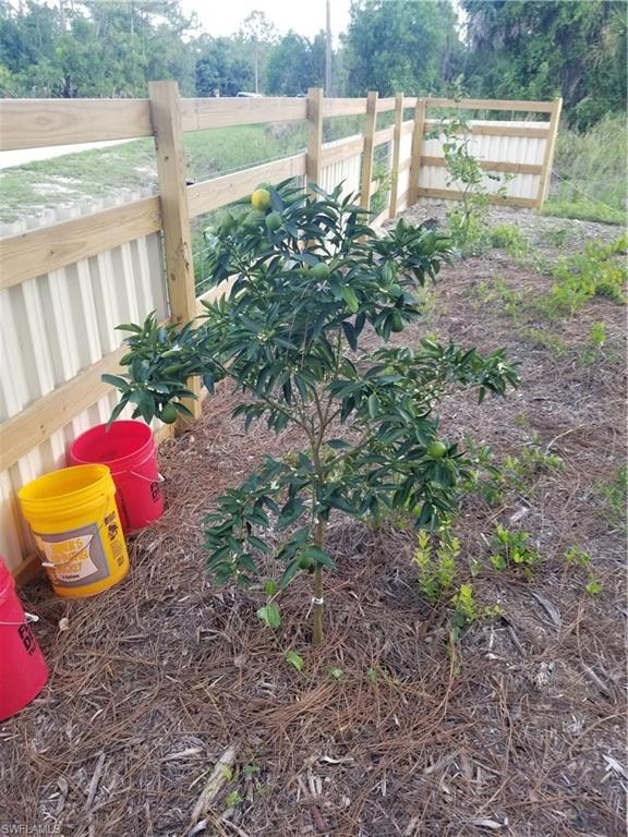 Fence and fruit trees