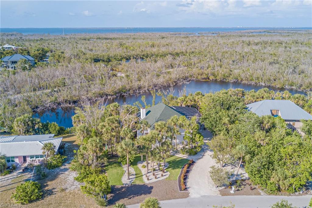 Drone / aerial view of lush new landscaping