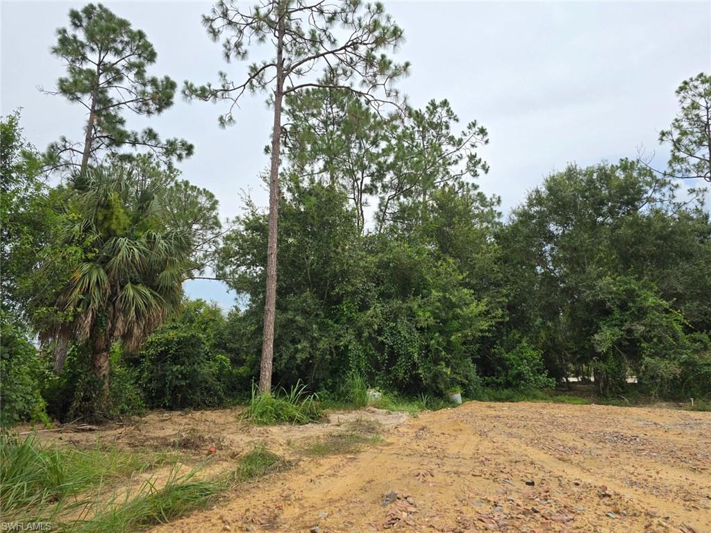 11921 Vista Ridge DR photo 13