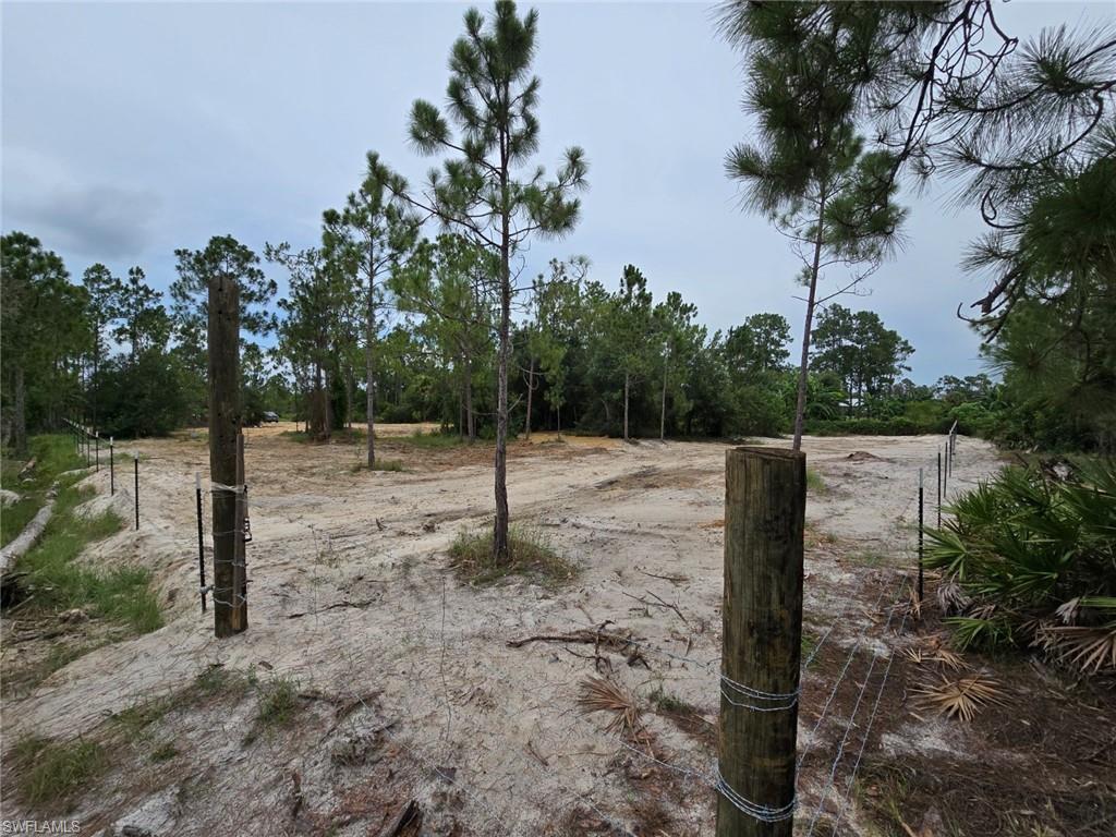 11921 Vista Ridge DR photo 16