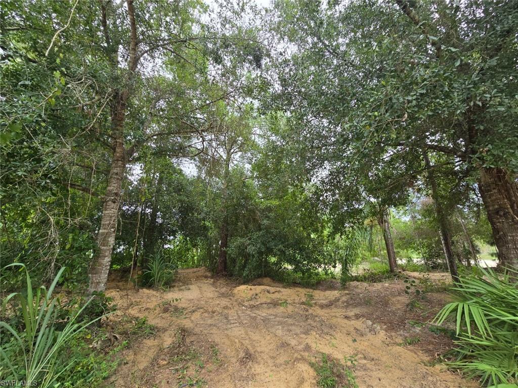 11921 Vista Ridge DR photo 22
