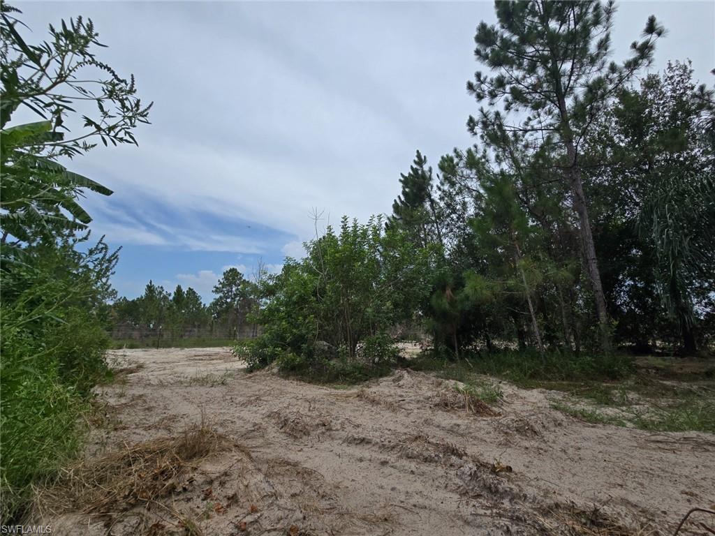 11921 Vista Ridge DR photo 20