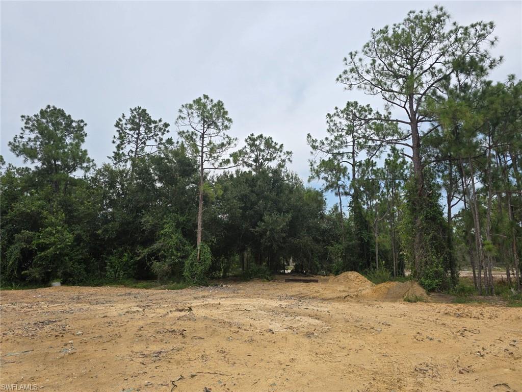 11921 Vista Ridge DR photo 24