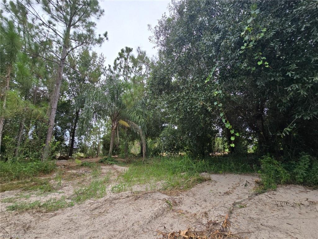 11921 Vista Ridge DR photo 19