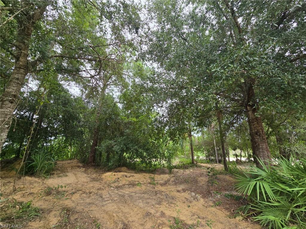 11921 Vista Ridge DR photo 21