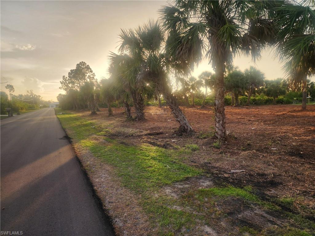 View of asphalt street