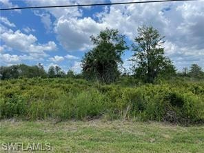 View of undeveloped land