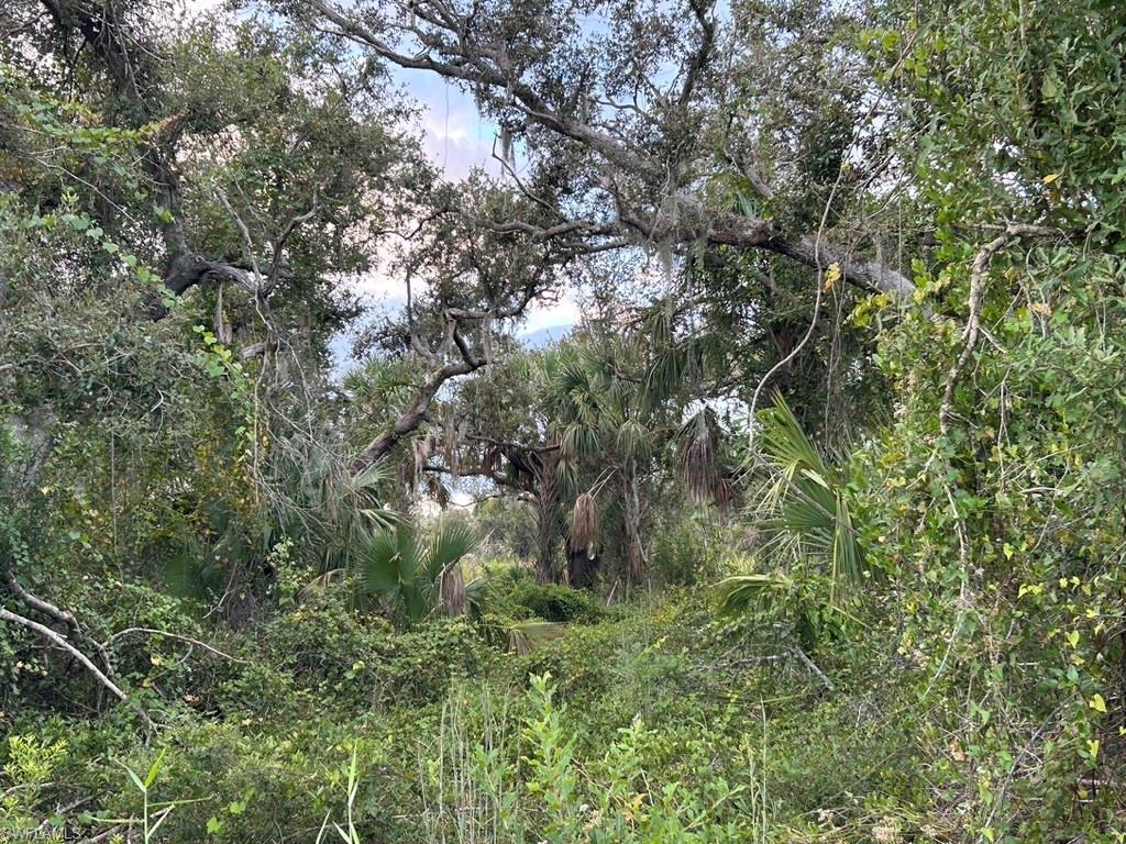 View of undeveloped land
