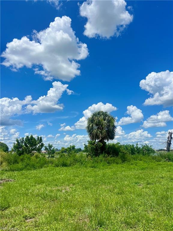 View of undeveloped land