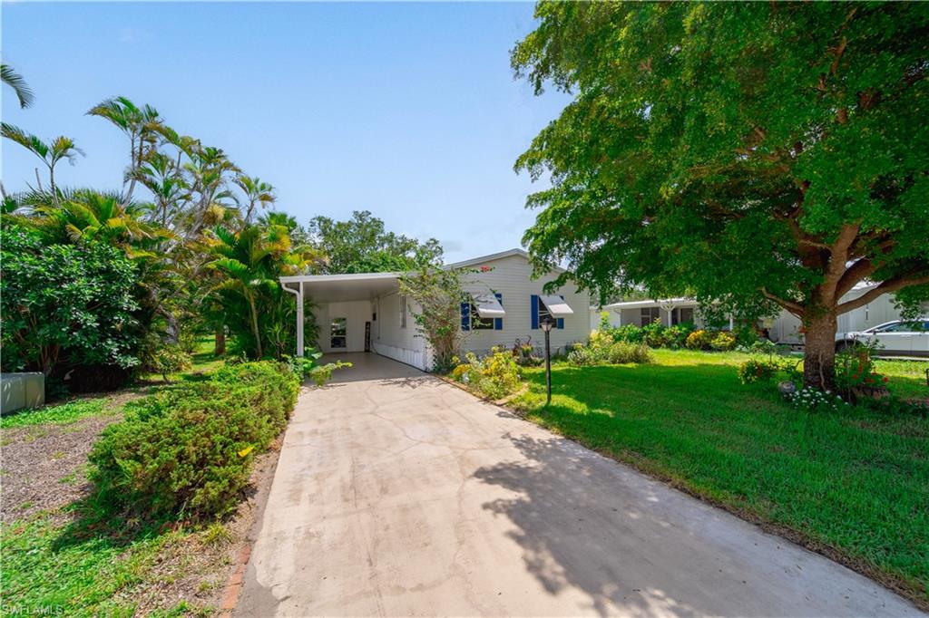 View of front of house featuring concrete driveway, a front yard, and a carport