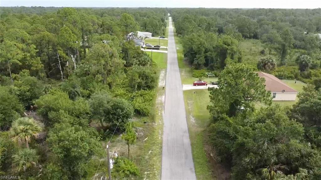Bird's eye view of a forest