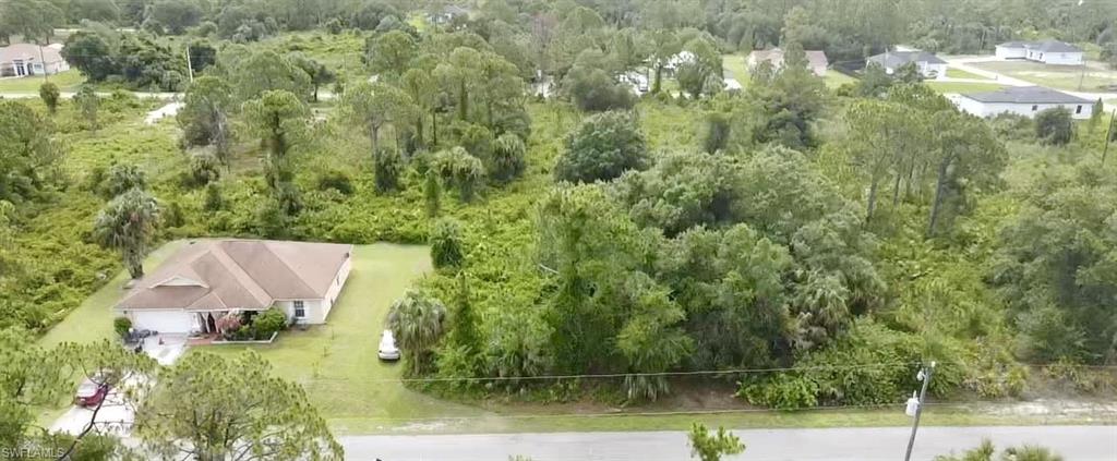 Aerial view of a forest