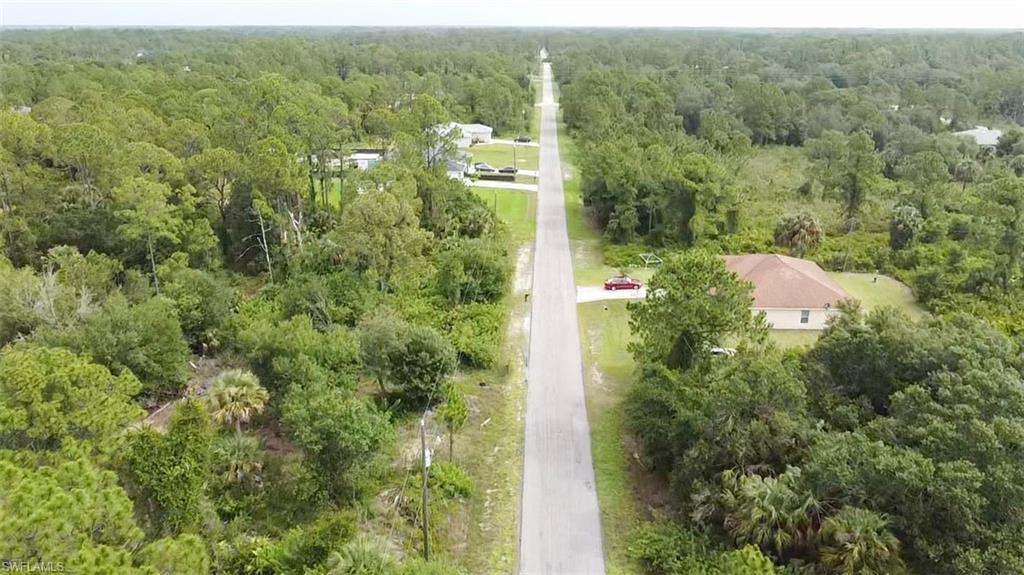 Drone / aerial view of a forest
