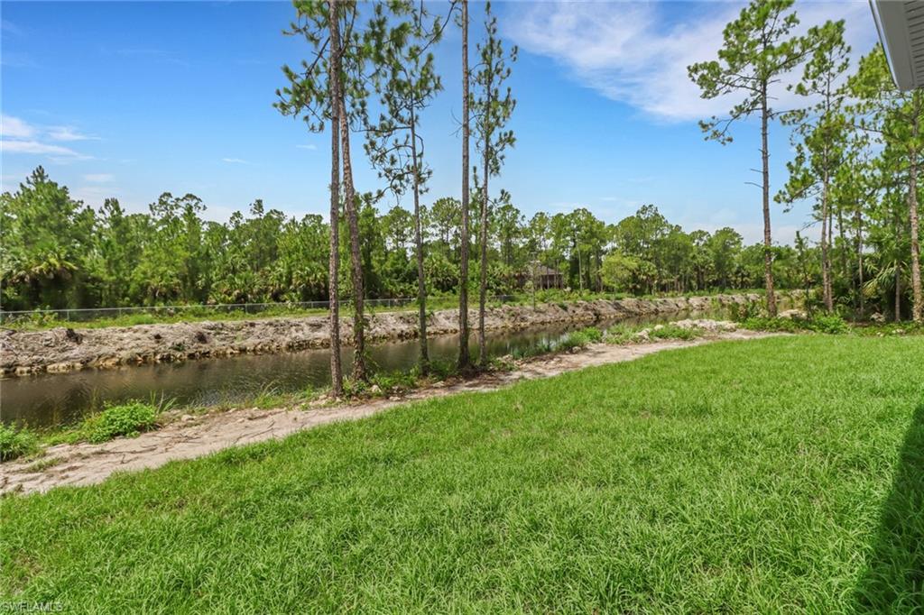 View of landscaped backyard