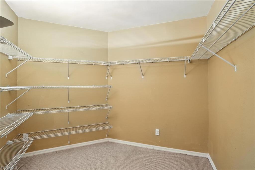 Spacious closet featuring carpet flooring
