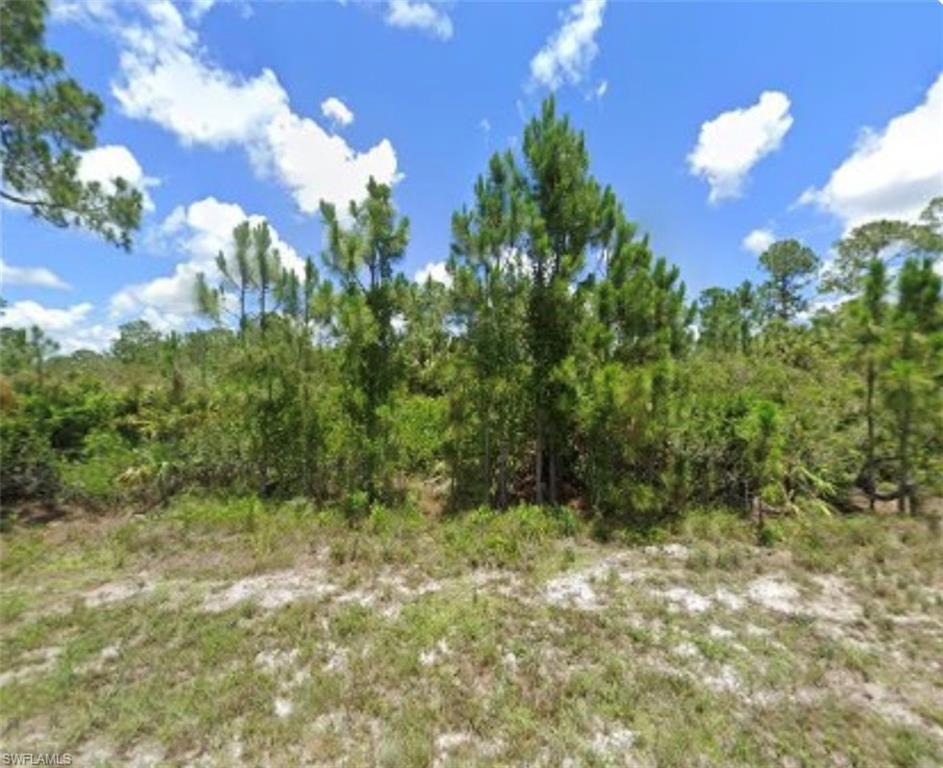 View of wooded area