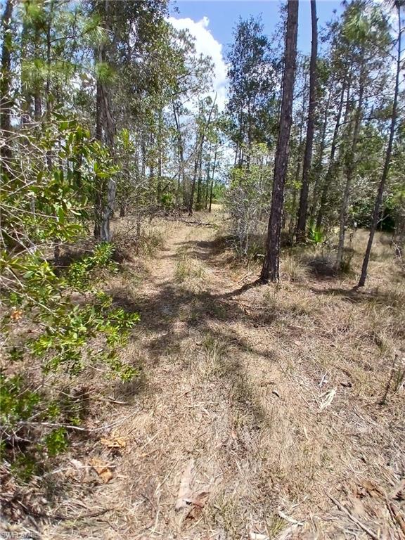 View of undeveloped land