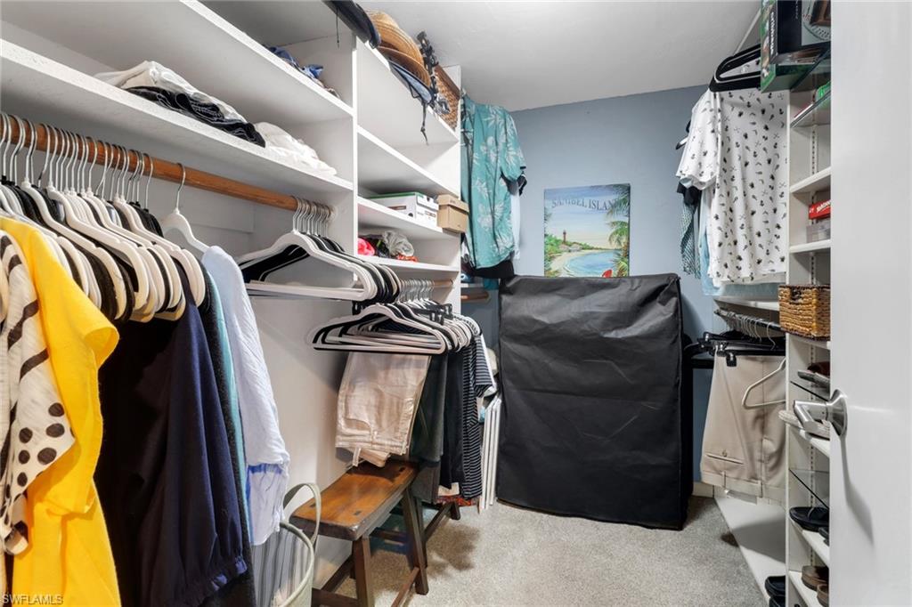 Spacious closet with carpet
