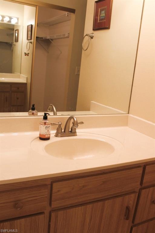 Bathroom with vanity and a spacious closet