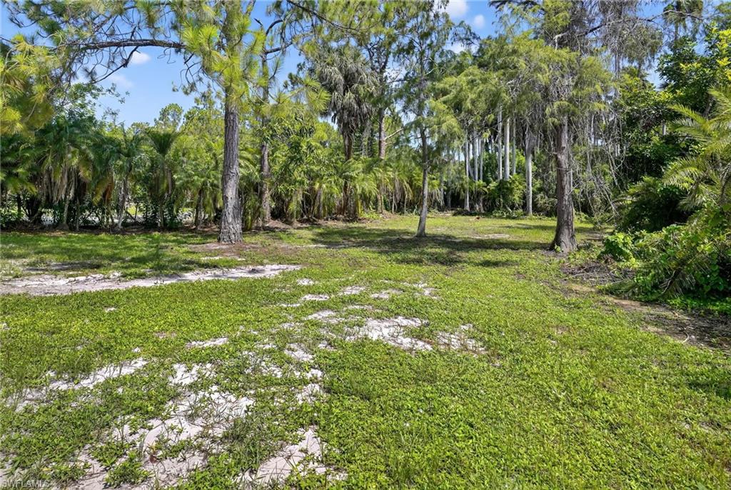 View of backyard.