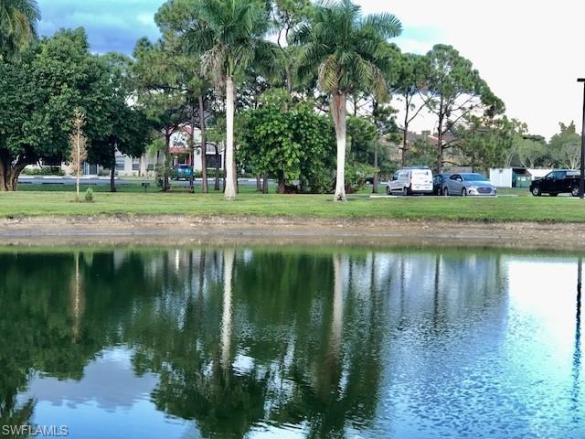 Water view
