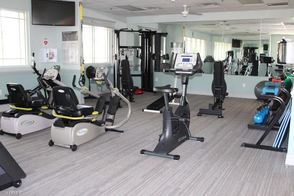 Workout area featuring carpet flooring, healthy amount of natural light, and a paneled ceiling