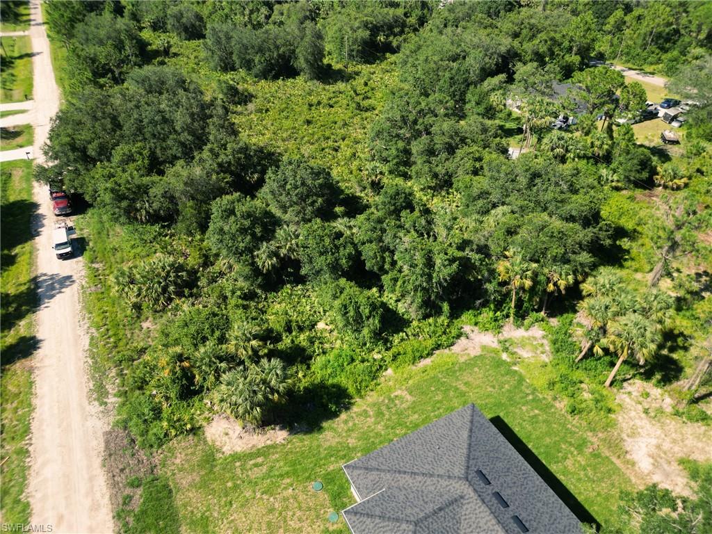 Bird's eye view of a forest