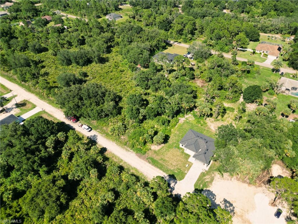 Bird's eye view of a forest
