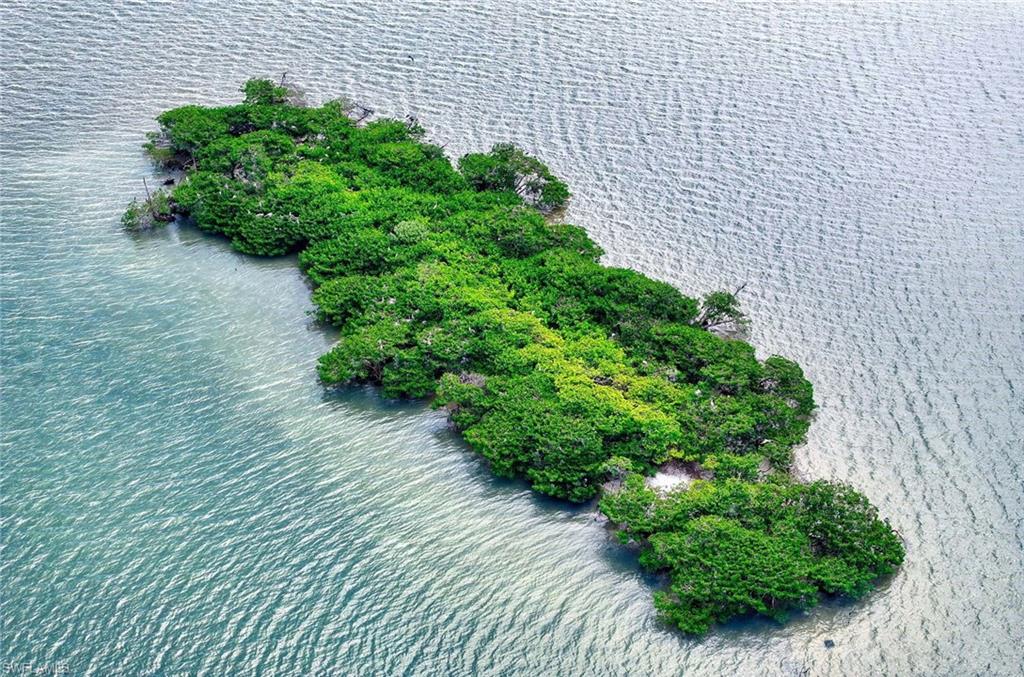 1411 Butterfield CT photo 13