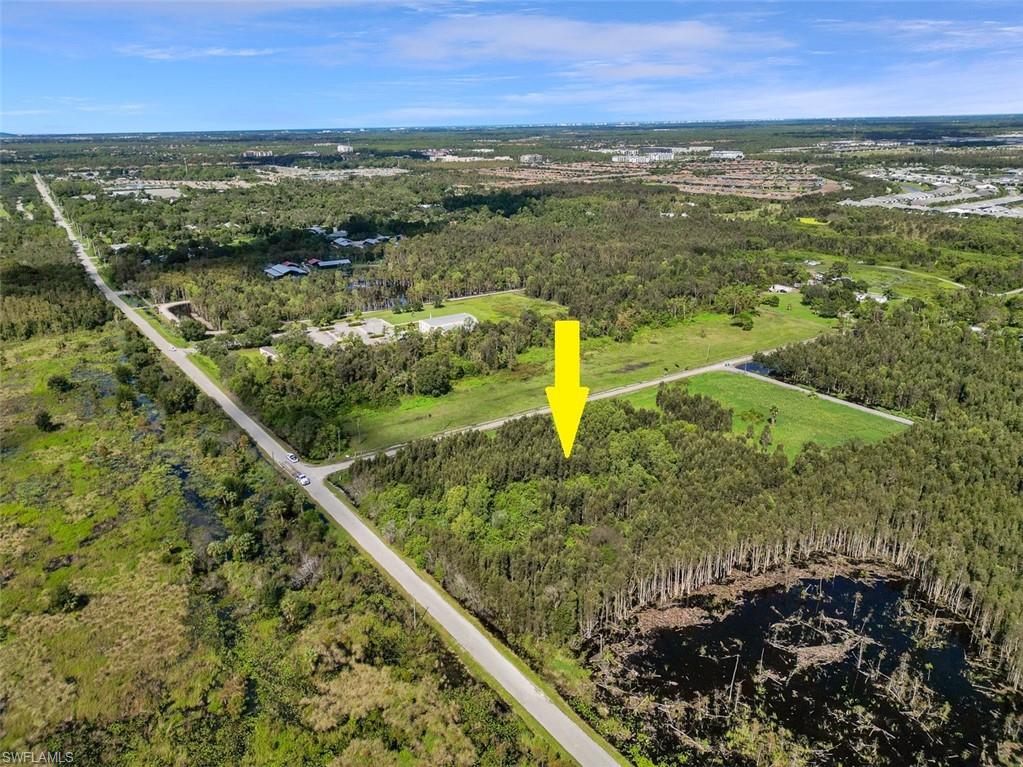 334 Sabal Palm RD