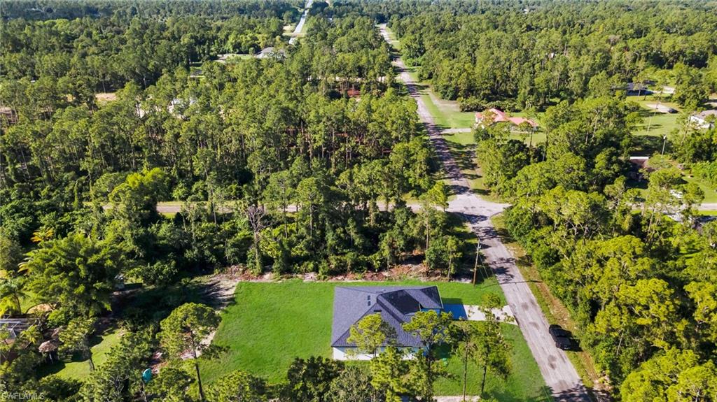 Aerial view of a forest