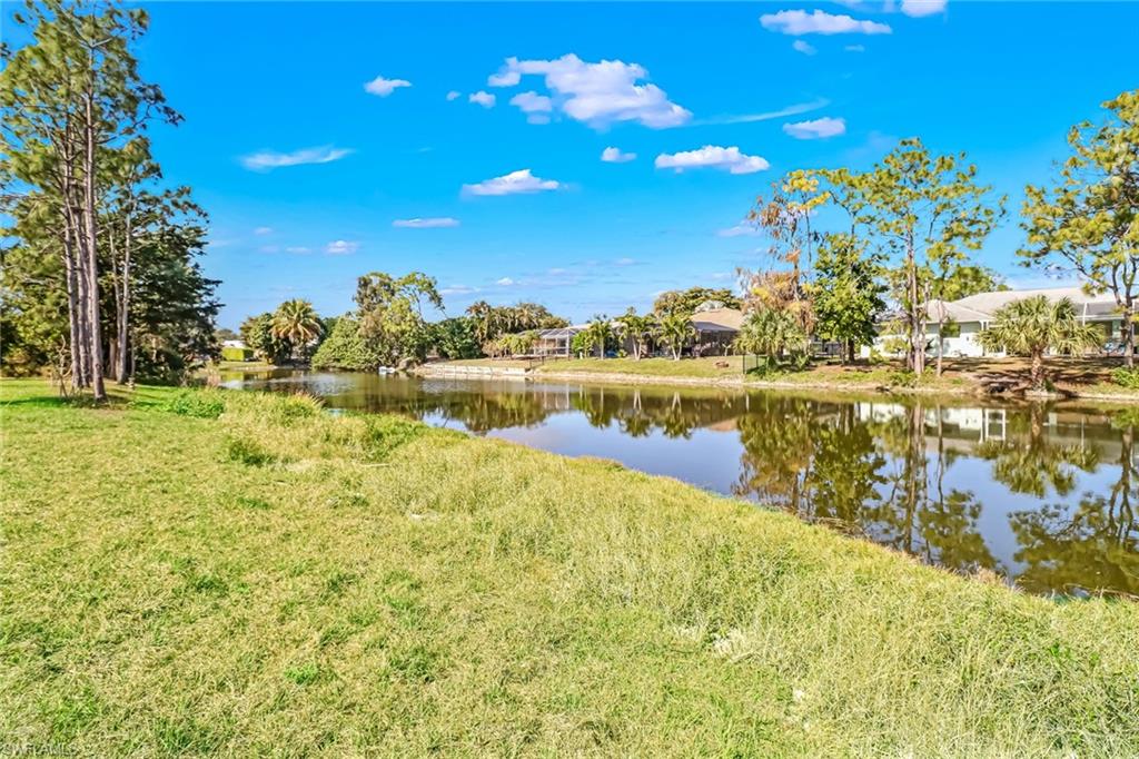 10621 Landau LN photo 24