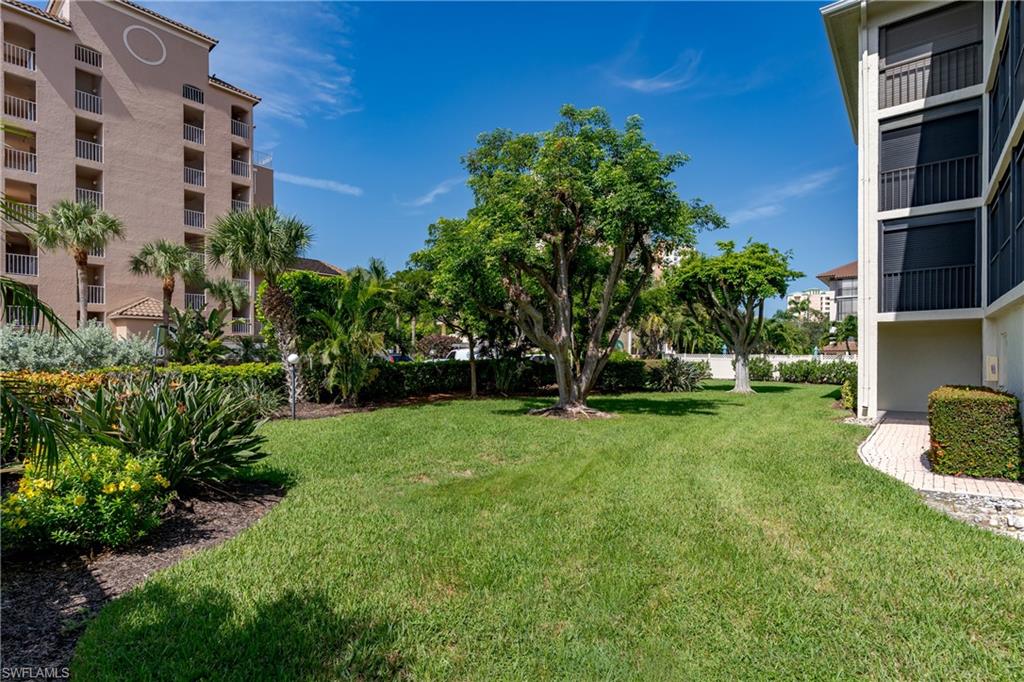 View of grassy yard