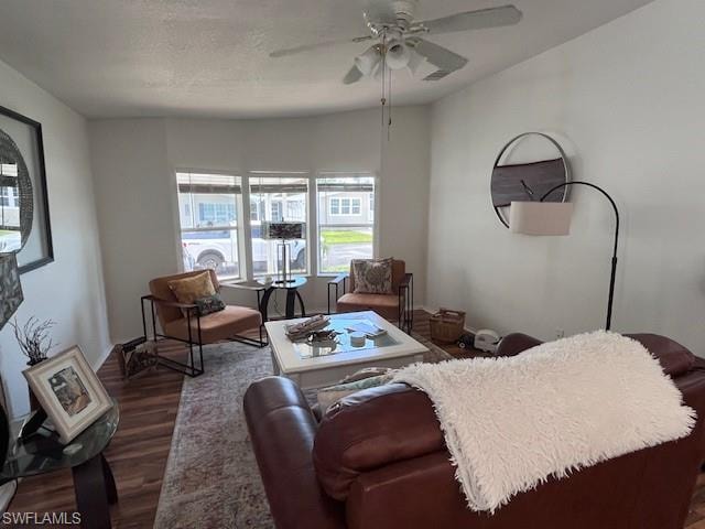 65 Turquoise AVE 65T photo 18