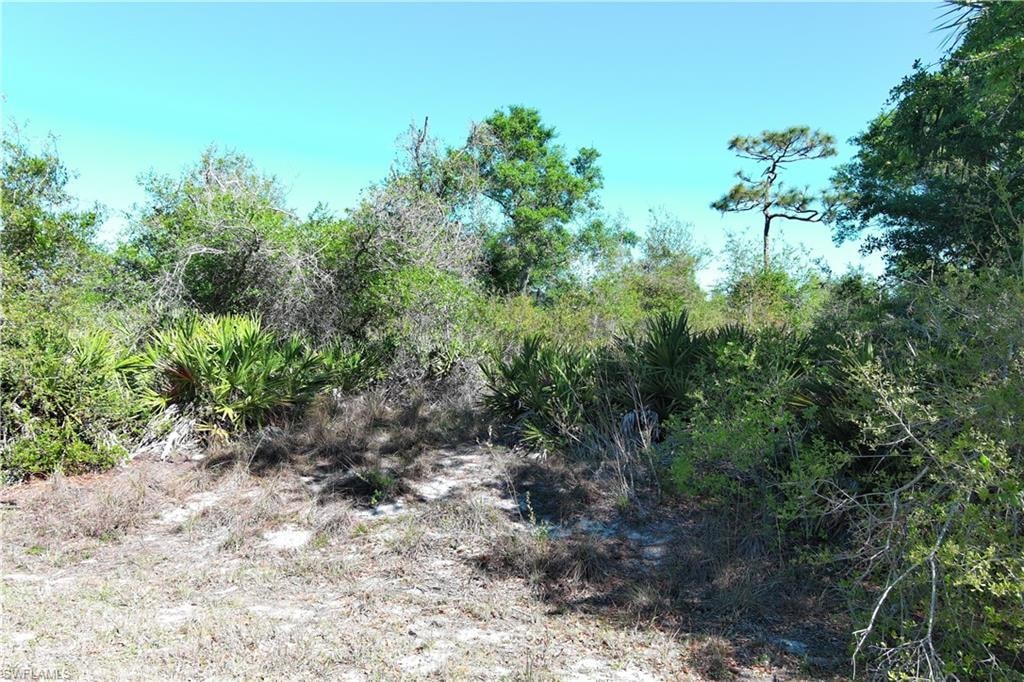 View of undeveloped land