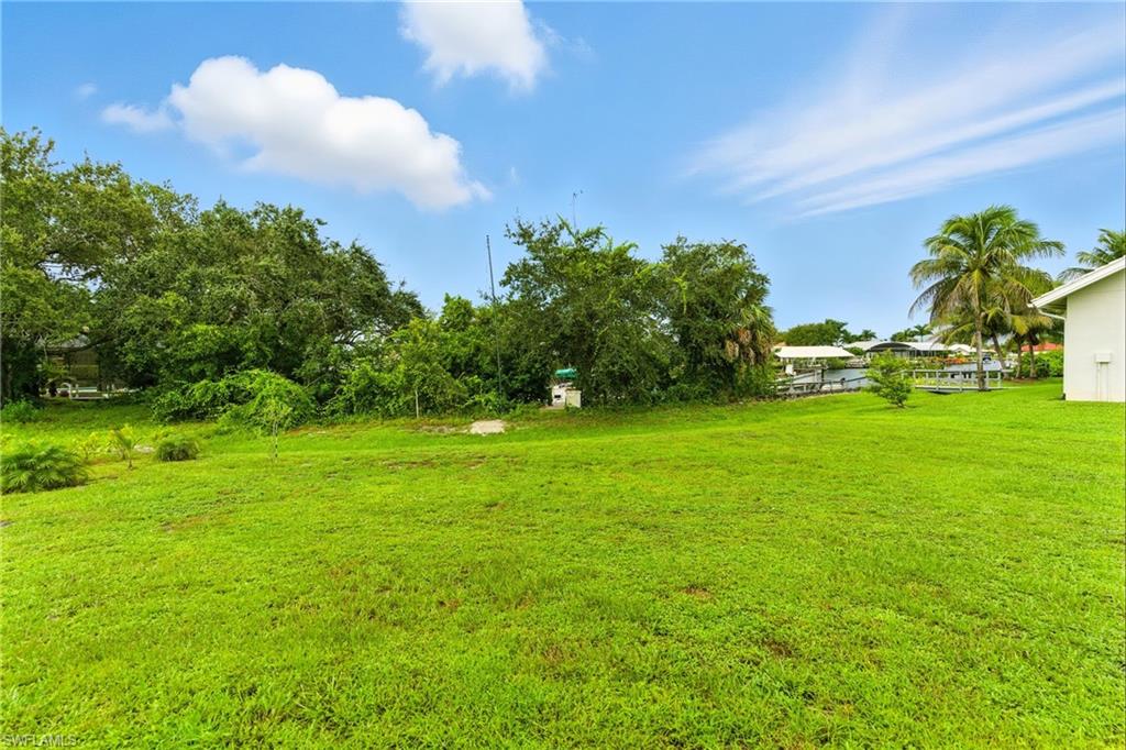 View of grassy yard