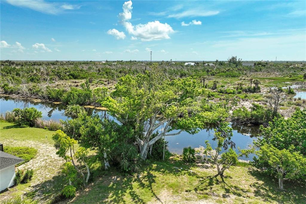 Overlooking Wildlife Preserve
