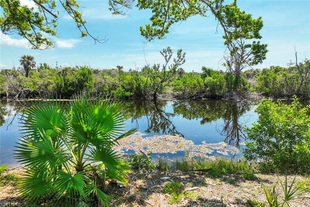 Wildlife Buffer