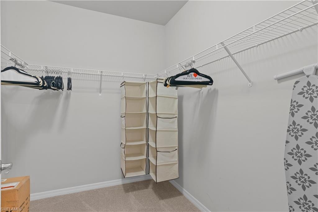 Spacious closet with carpet floors