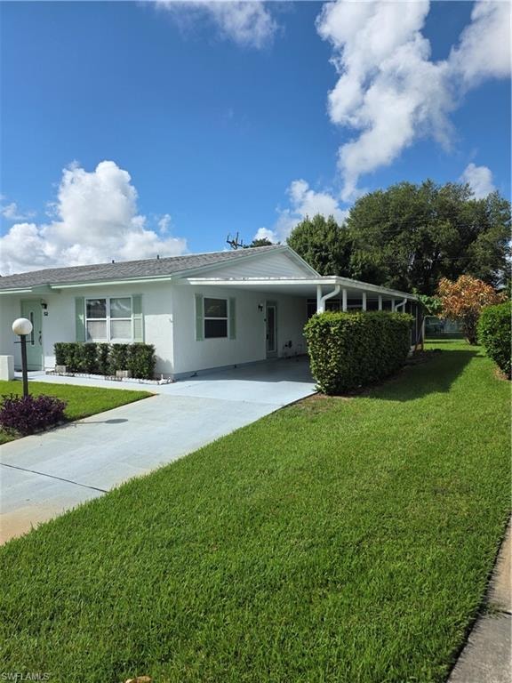52 Heath Aster LN
