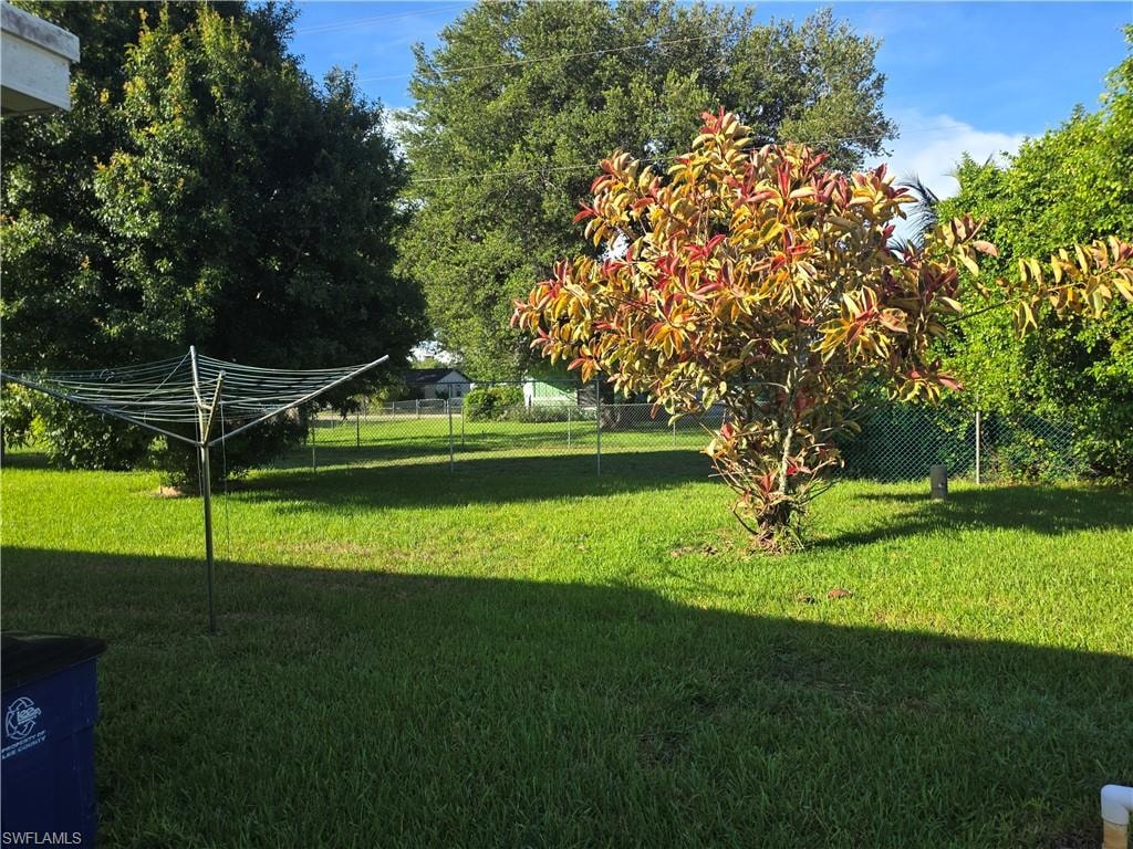 View of  back yard