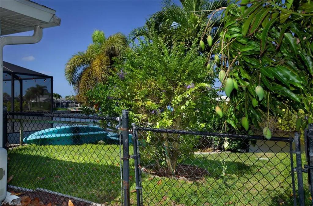 Fenced in back yard