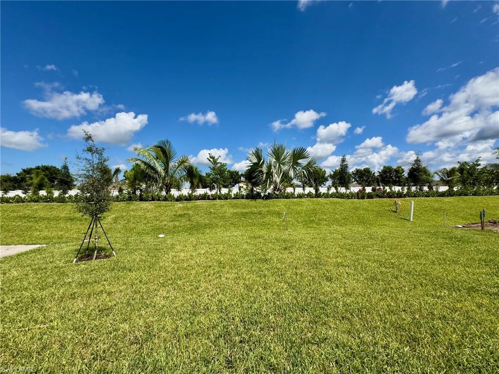 View of community with a lawn