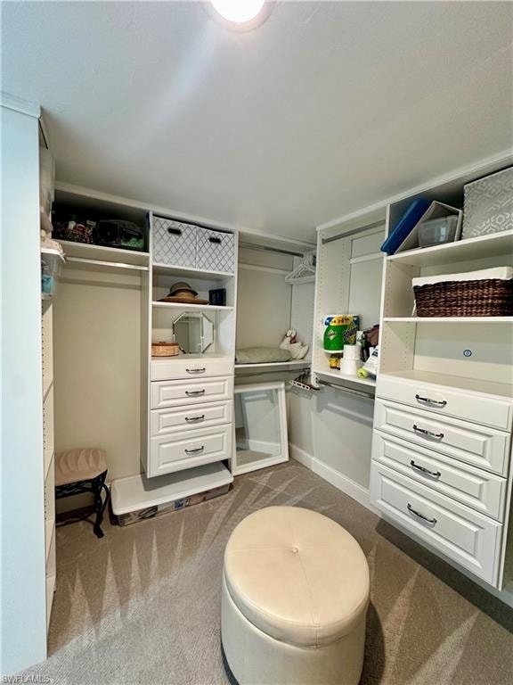 Primary Closet