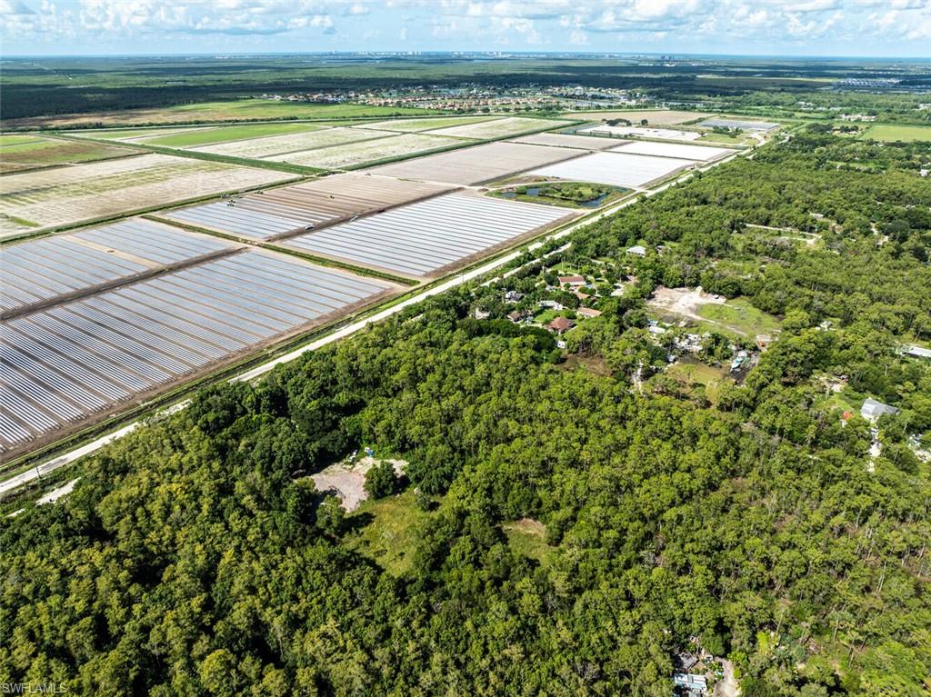 Drone / aerial view of a forest